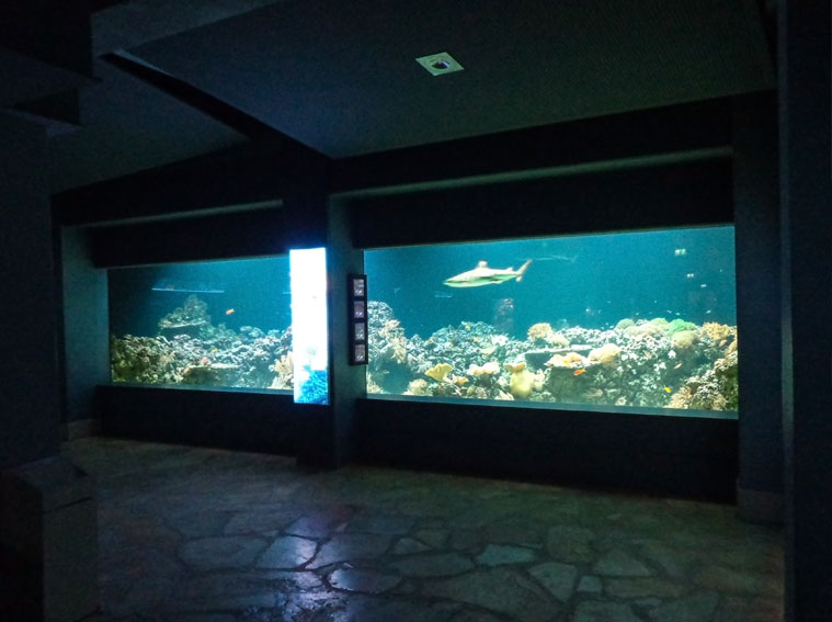 Haifischbecken in der denkmalgeschützten Aquariumhalle im Tierpark Hellabrunn
